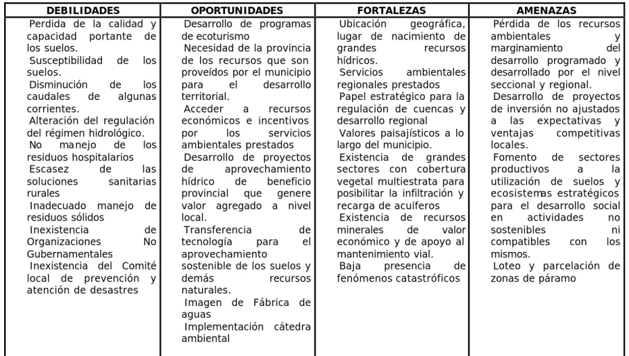 Tabla No. 48a MATRIZ DOFA DIMENSION AMBIENTAL 