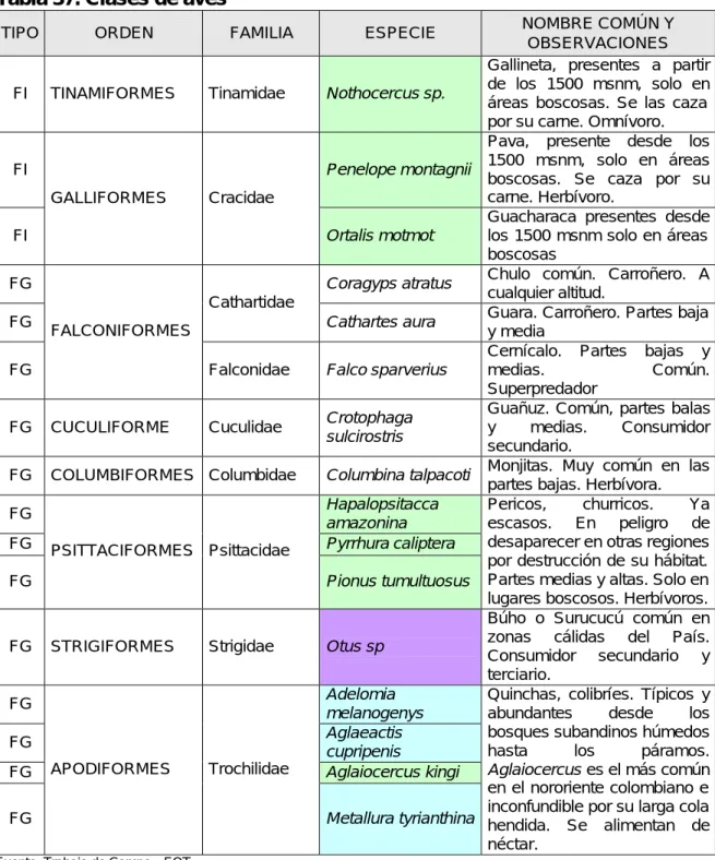 Tabla 37. Clases de aves 