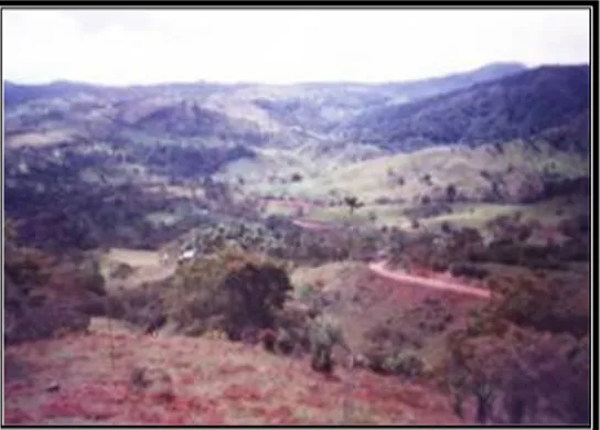 FOTO 20:  Panorama de lomas y laderas, localizadas en  la  vereda San Antonio.. 