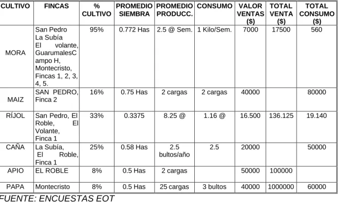 CUADRO RESUMEN 