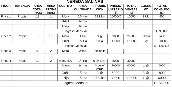 CUADRO No. 43  CUADRO RESUMEN 