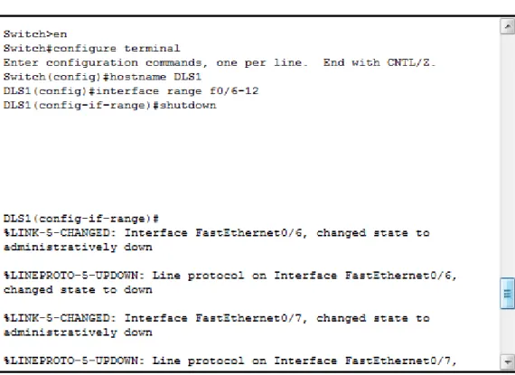 Figura 24. Nombre y apagar interfaces en DLS1 