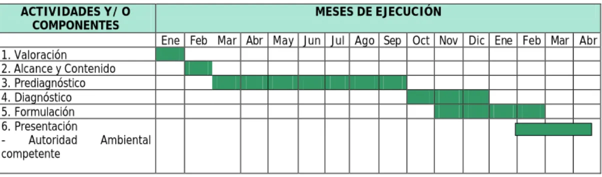 Cuadro 6.  Cronograma de Actividades (Años: 1999 – 2000)    