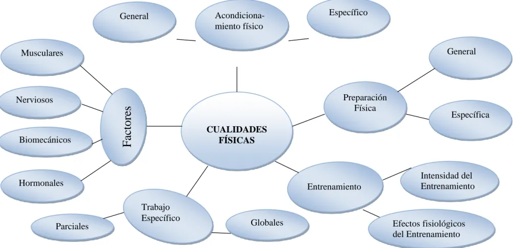 Figura N° 3: Constelación de Ideas