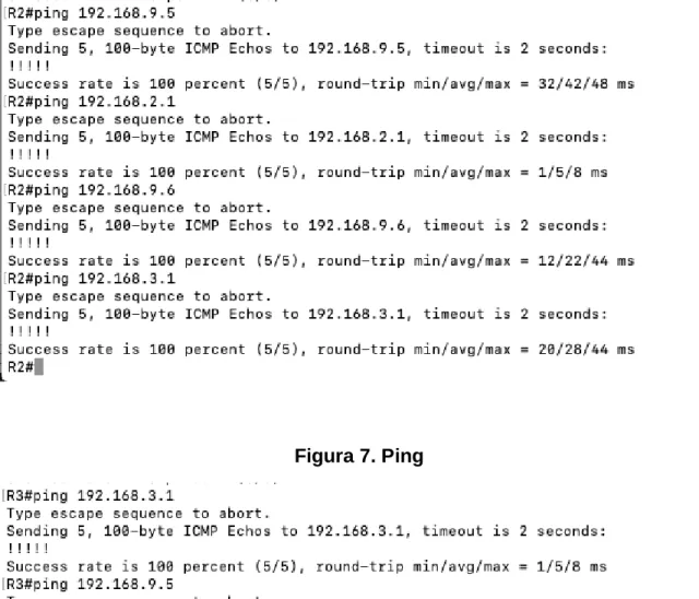 Figura 6. Ping 