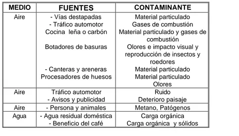 TABLA No. 8   INVENTARIO DE FUENTES DE CONTAMINACIÓN DEL AMBIENTE FÍSICO 