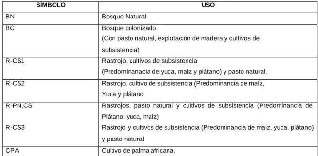 CUADRO 12: USO DE LAS TIERRAS EN CANTAGALLO 