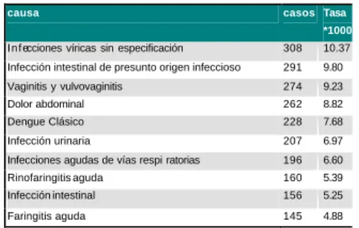 Ilustración 12.  10 Primeras causas de morbilidad por consulta medica en Cartagena del Chaira 2002