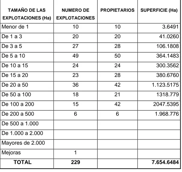 CUADRO  No  10.    NUMERO  DE  EXPLOTACIONES  SEGÚN  TAMAÑO,    EN        EL  SECTOR RURAL DEL MUNICIPIO DE CHALAN - SUCRE 1999 