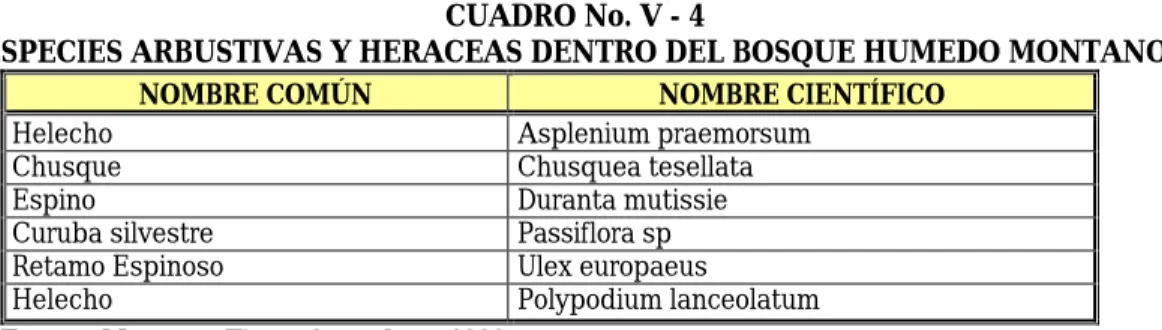 CUADRO No. V - 3 