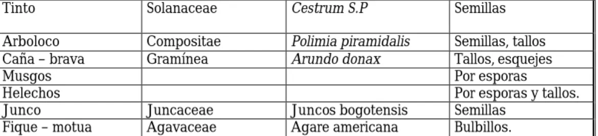 CUADRO No. V - 6  AVIFAUNA DOMINANTE 
