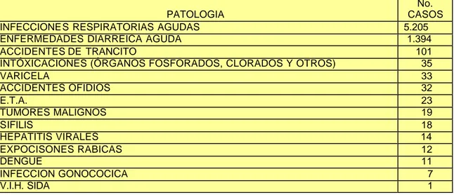 TABLA No. 8 CONDENSADO DE PATOLOGIAS DE V.S.P. MUNICIPIO DE CHIRIGUIANA 2004 