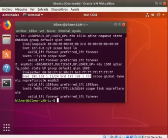 Fig. 80. Red Ubuntu desktop 