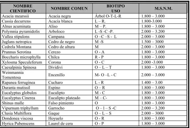 TABLA N°4. Tipos de bosques propuestos y usos.