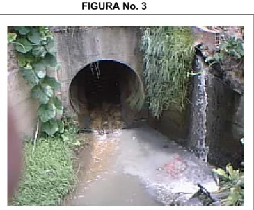 FIGURA No. 3 