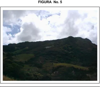 FIGURA  No. 5 