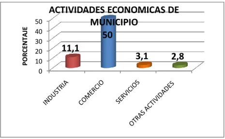 Gráfico 5.  Actividades Económicas del municipio por sector. Fuente: Dane 2005. 