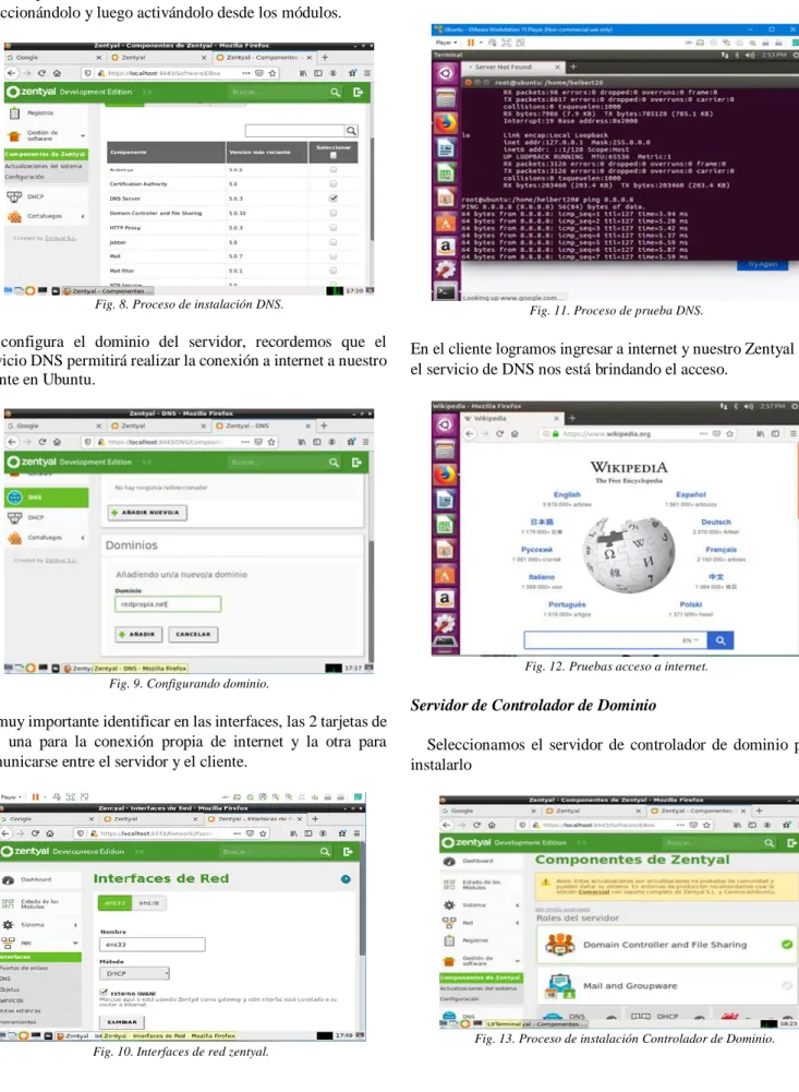Fig. 9. Configurando dominio. 