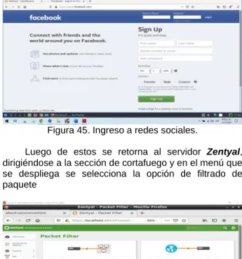 Figura 48. contacto a Facebook. 