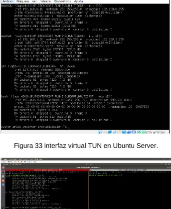 Figura 34 interfaz virtual TUN en Ubuntu Desktop. 