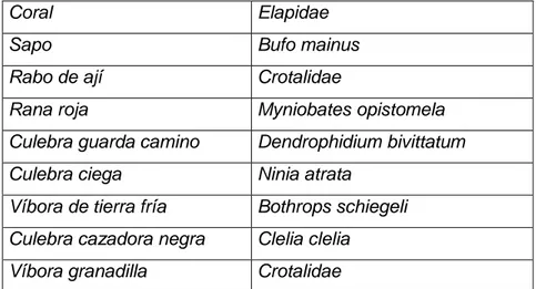 Tabla 8. Mamíferos nativos. 