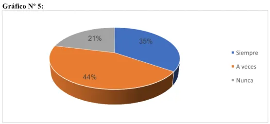 Gráfico Nº 5:  
