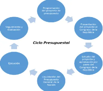 Figura 1 Ciclo Presupuestal 