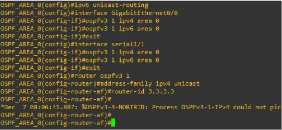 Figura 10.Direcciones OSPFv3 