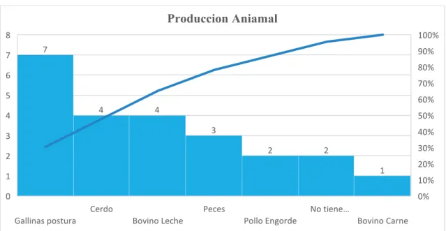 Figura 4-4: Producción Animal 