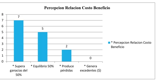 Figura 4-5: Relación Costo Beneficio 
