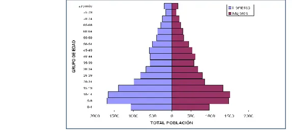 Gráfico 10: Población Sisbenizada. 