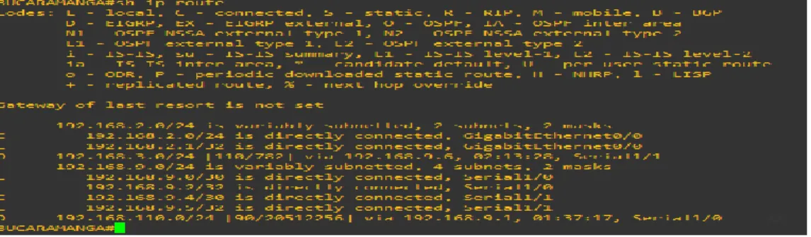 Ilustración 5 Verificar conectividad de red y control de la trayectoria. 
