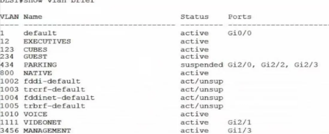 Figura 9. VLANs DLS1 