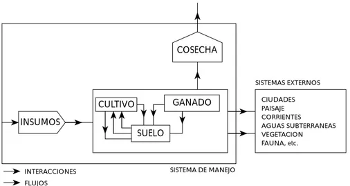 FIGURA 3.1. Estructura general de un sistema agrícola y su relación con los sistemas externos (según Briggs y Courtney 1985).