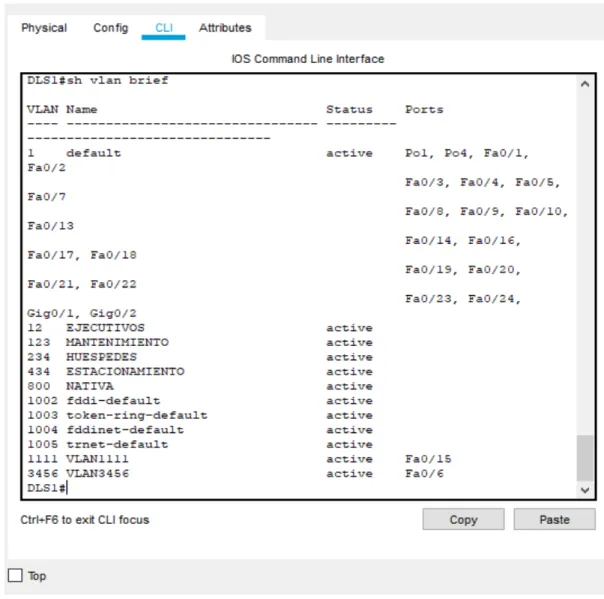 Figura 11. Vlans correspondientes a DLS1 