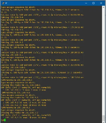 Ilustración 6 Ejecución de ping y traceroute en R1 