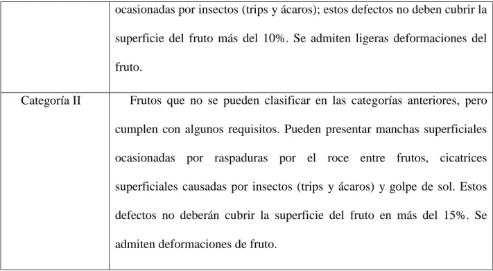Figura  24  Calibre del fruto 