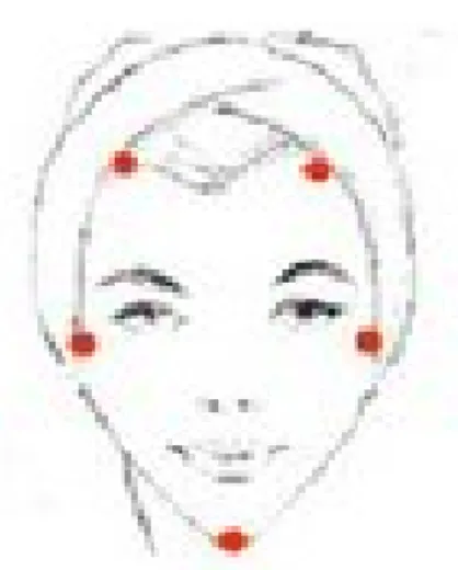 Figura 5  Cara forma triangular 