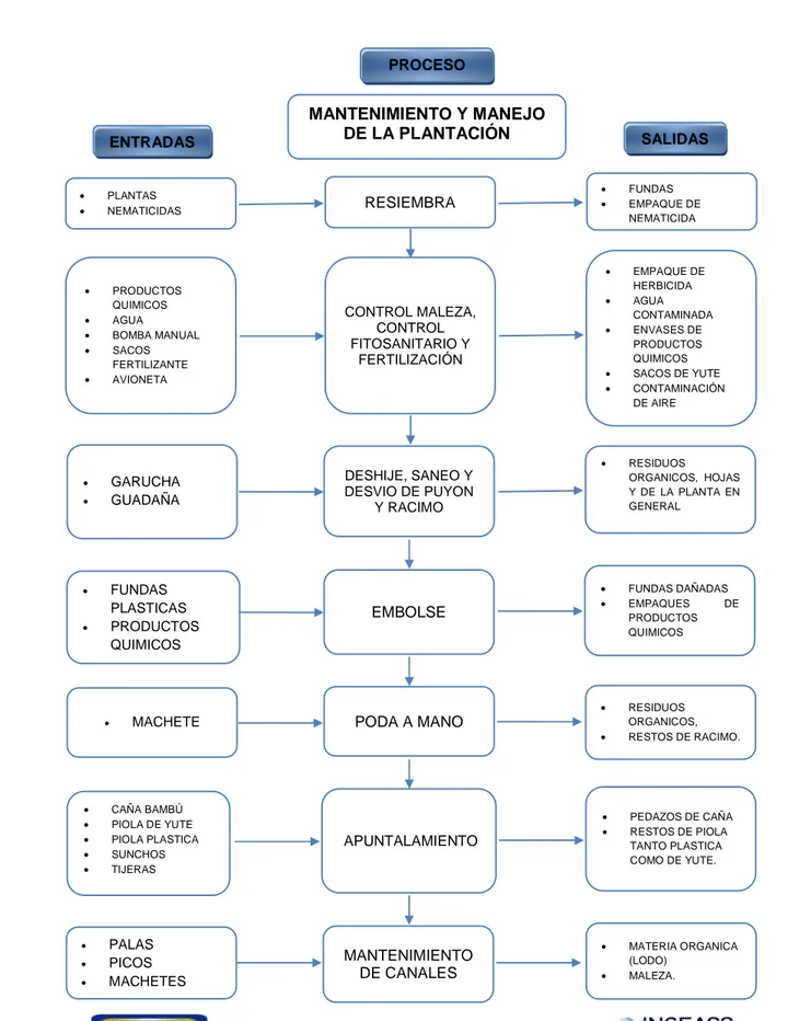 Ilustración 2. DIAGRAMA DE FLUJO DEL PROCESO PRODUCTIVO DEL BANANO  –    ETAPA DE MANEJO Y MANTENIMIENTO DE LA PLANTACIÓN 