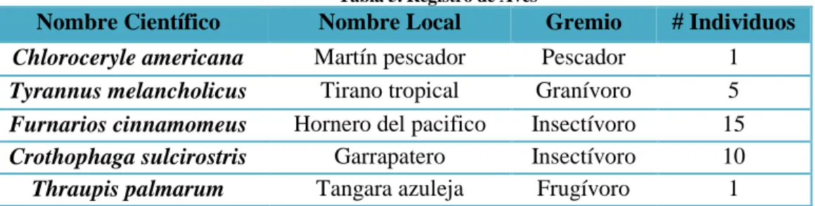 Tabla 5. Registro de Aves 