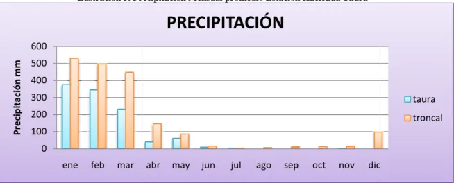 Ilustración 5. Precipi