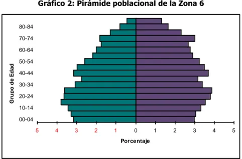 Gráfico 2: Pirámide poblacional de la Zona 6 