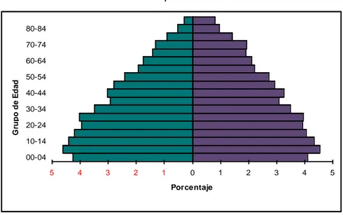 Gráfico 3. Pirámide poblacional del Zonal 9  5 4 3 2 1 0 1 2 3 4 500-0410-1420-2430-3440-4450-5460-6470-7480-84Grupo de Edad Porcentaje