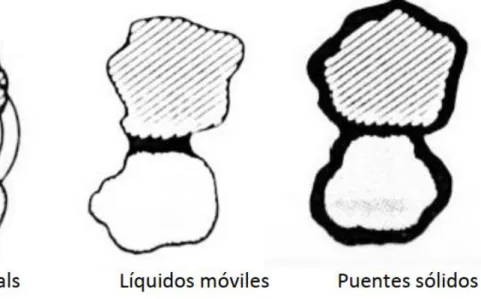 Figura 7. Mecanismos principales de interacción. 