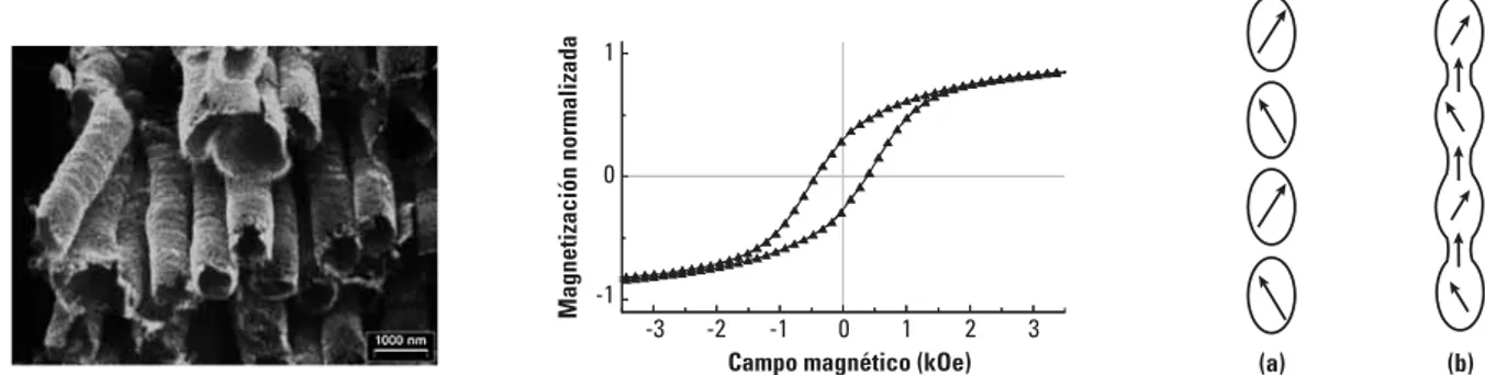 Figura 2. Izquierda: En la microfotografía SEM (microscopía de barrido electrónico) se pueden apreciar los tubos de óxido de manganita.
