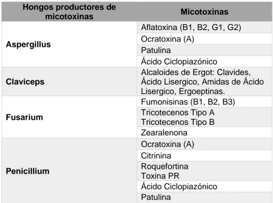 Tabla 1.Clasificación de los hongos productores de micotoxinas por categorías. 