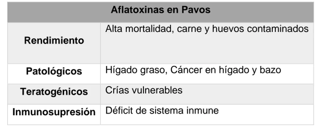 Tabla 6. Efectos de aflatoxinas en pavos. 