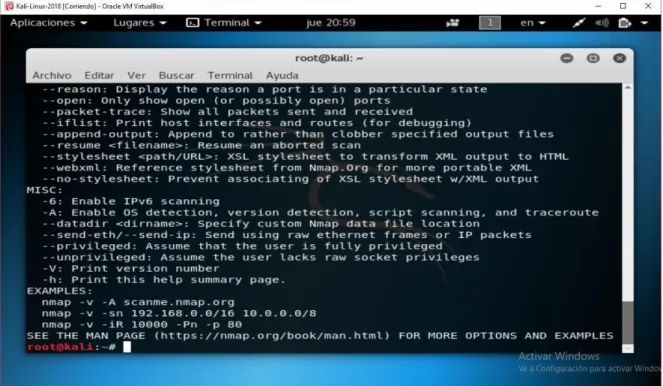 Figura 9: Ejecución comando Nmap - parte 5 