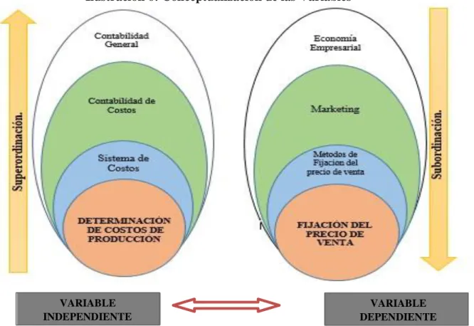 Ilustración 6: Conceptualización de las Variables 