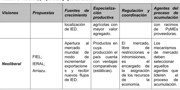 Cuadro 5: Visiones, propuestas y ejes del debate 